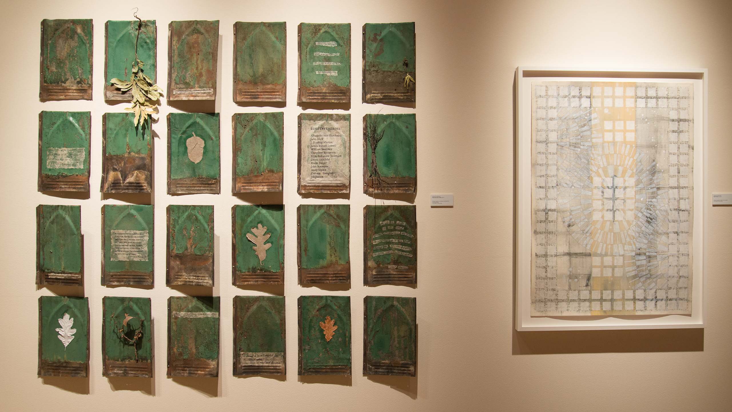 Hearing the Trees: Katherine Mitchell in the Mezzanine Gallery