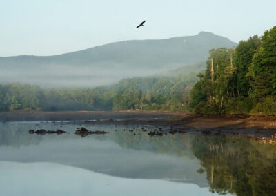Rachael Salmon, Eagle Soaring over Price Lake, Blue Ridge Parkway, ‘The Power of Nature’ category winner; 19th AMPC