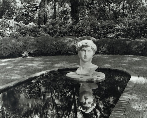 Michelle Van Parys; David in Manicured Garden, 2014, South Carolina; Selenium toned gelatin silver print.