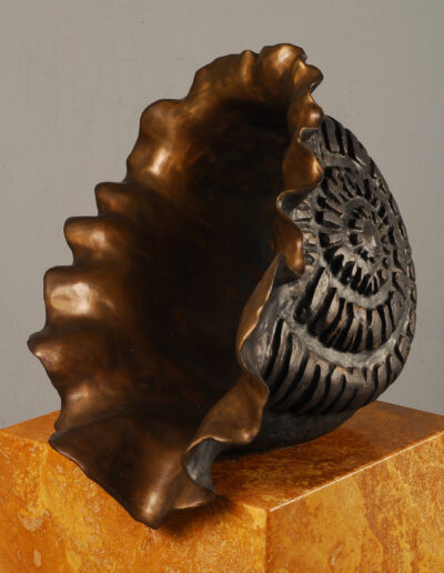 Gretchen Lotz; Nautilus; Bronze on marble base.