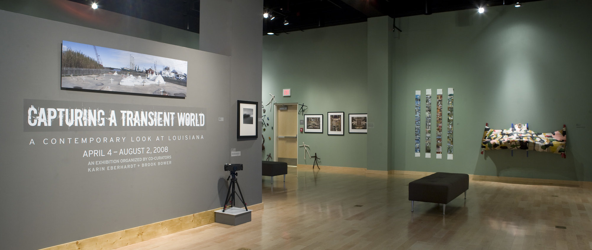 Capturing a Transient World: A Contemporary Look at Louisiana