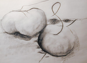 Two Turnips by Margaret Polson. Charcoal/Paper. Photo credit: Brook Greene.