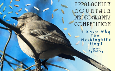 Appalachian Mountain Photography Competition thumbnail