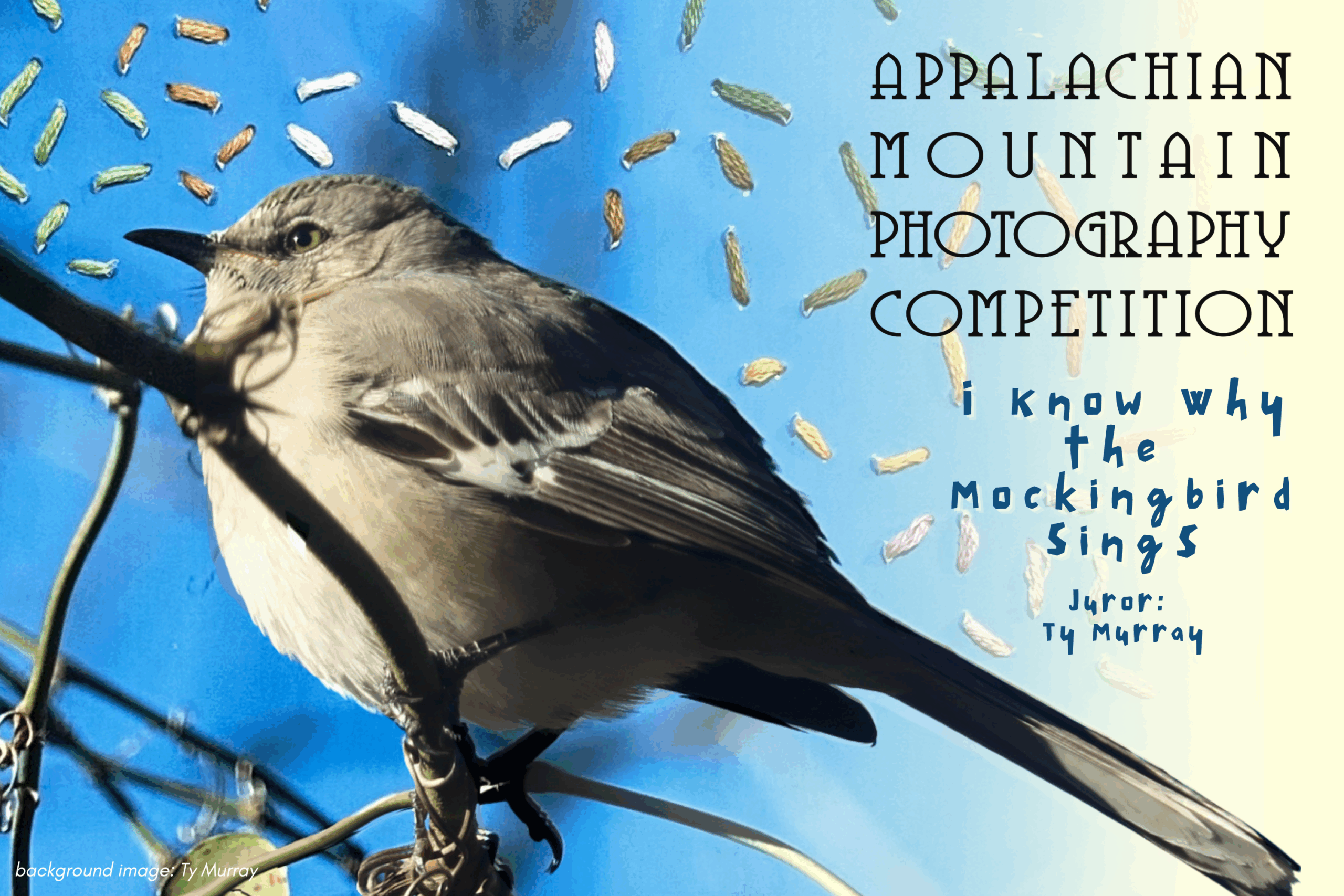 Appalachian Mountain Photography Competition thumbnail