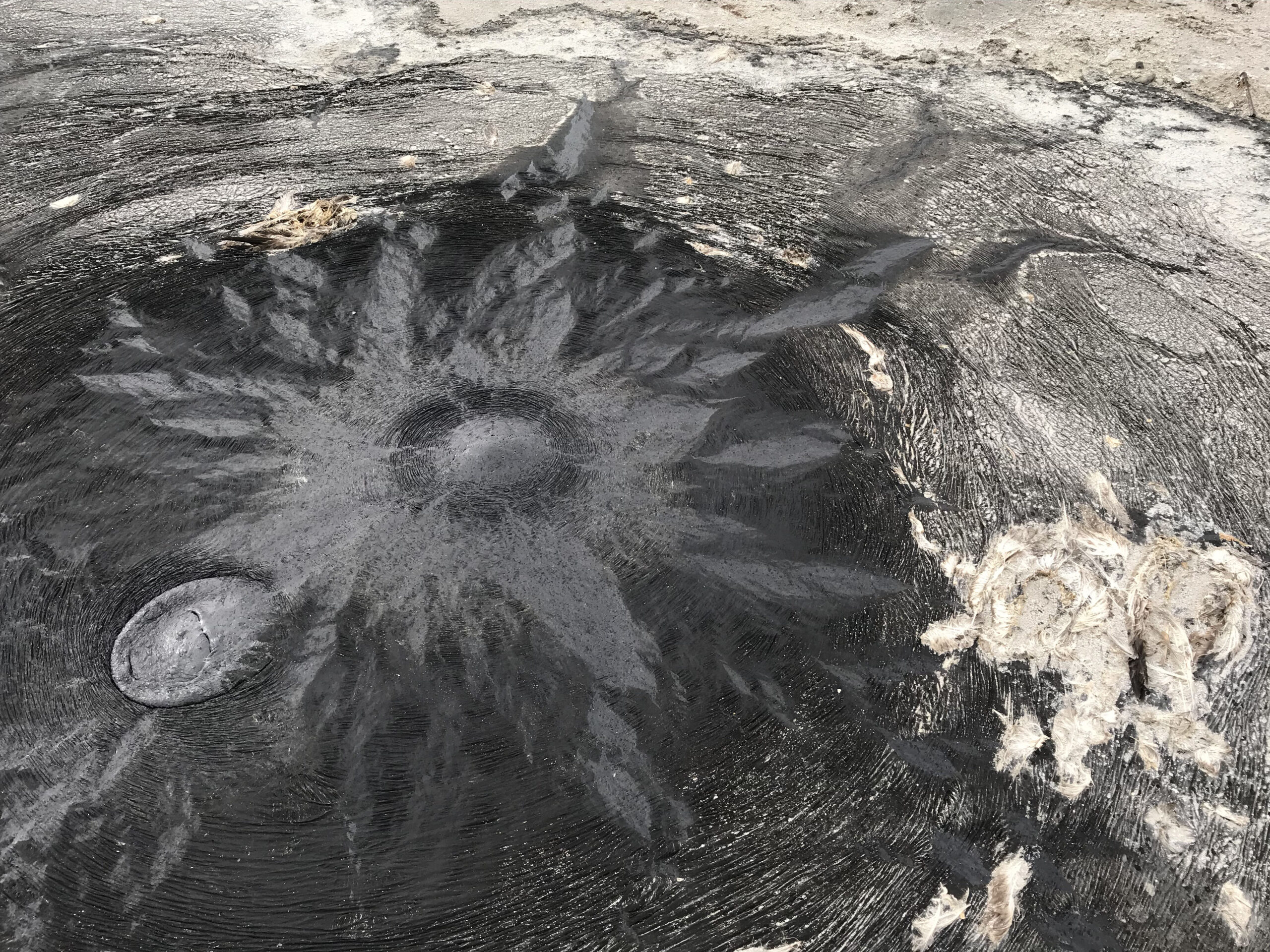 Gretchen Ernster Henderson CONSTELLATE Tar seep with barn owl bones, Great Salt Lake, UT, 2018