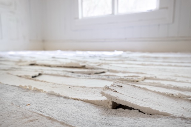 SR Lejeune 6_Laurel, 2019, photograph by L Autumn Gnadinger Medium