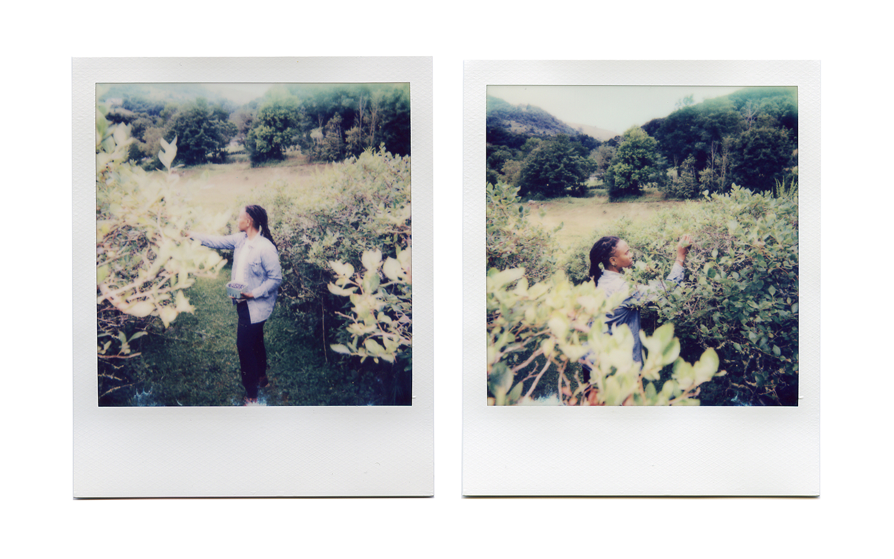 C. Choice: &ldquo;healing space&rdquo;