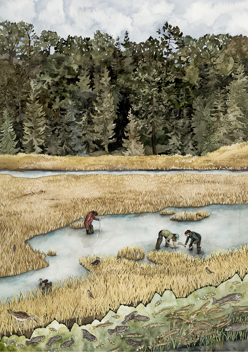 Replanting Resilience 1