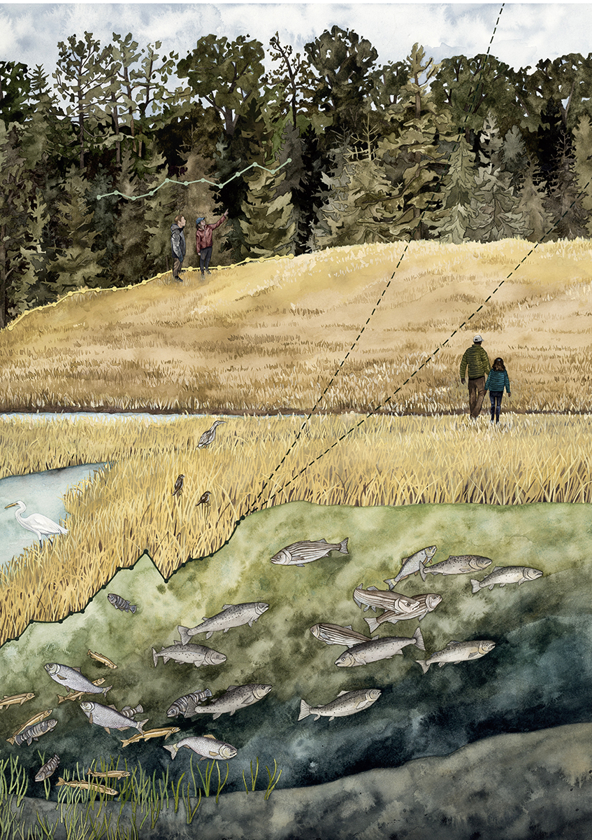 Replanting Resilience 2