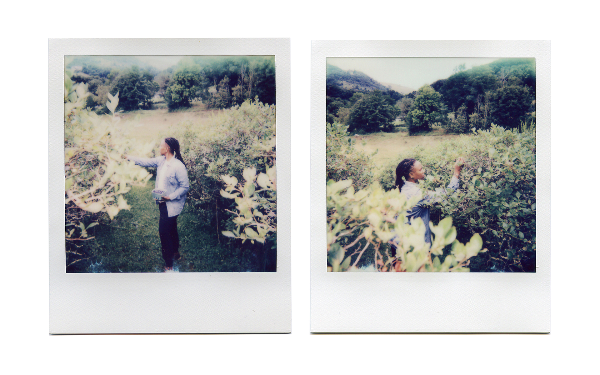 C. Choice, &ldquo;healing space&rdquo;
