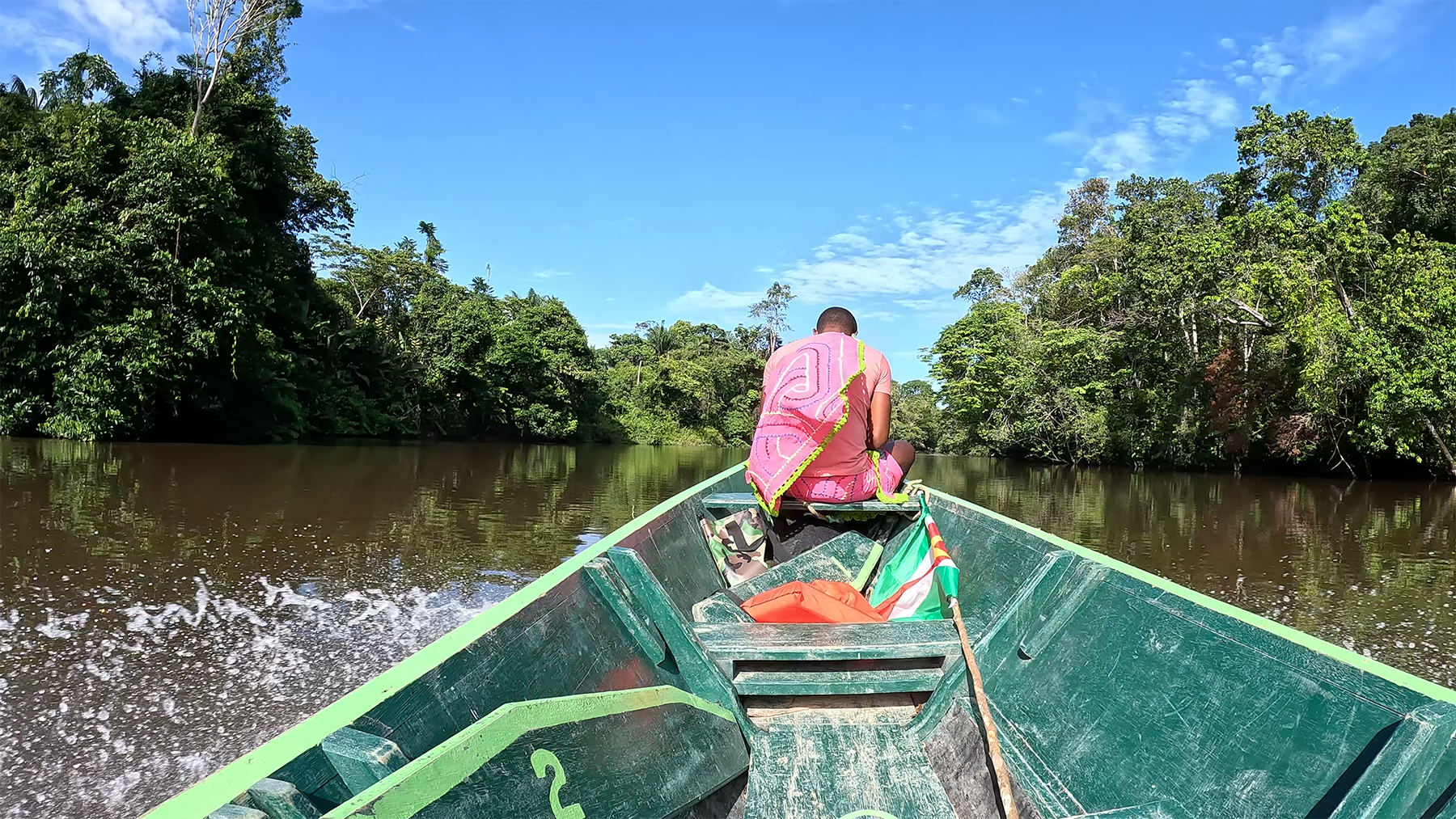 Etienne Charles, &ldquo;Earth Tones, Amazon,&rdquo; courtesy of Etienne CharlesAmazon