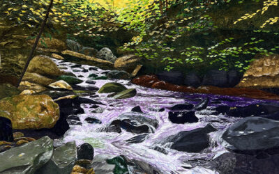 Stream of water running through trees and large rocks